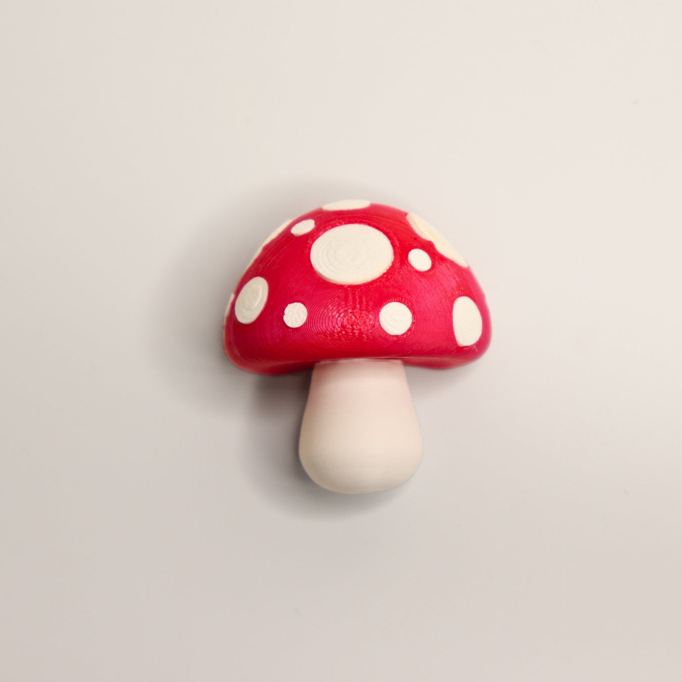 FUNGINIS – Mushroom Fridge Magnets (Set of 4)