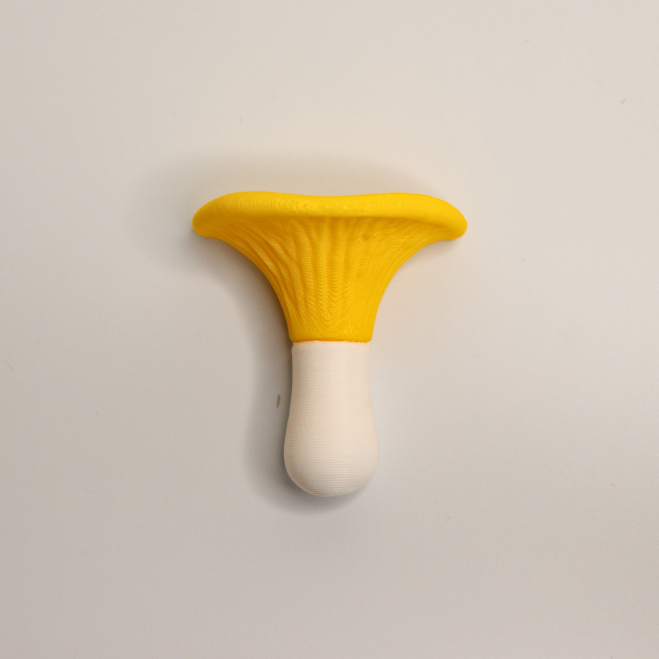FUNGINIS – Mushroom Fridge Magnets (Set of 4)