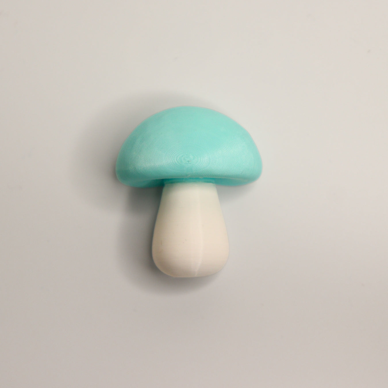 FUNGINIS – Mushroom Fridge Magnets (Set of 4)