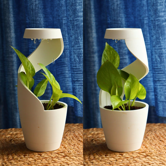 VARSA – Sculptural Rainflow Desk Planter