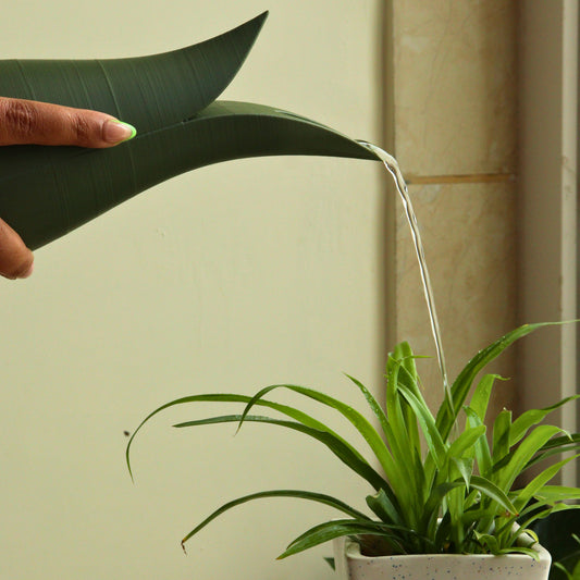 IRRA – Sculptural Watering Can (500ml)