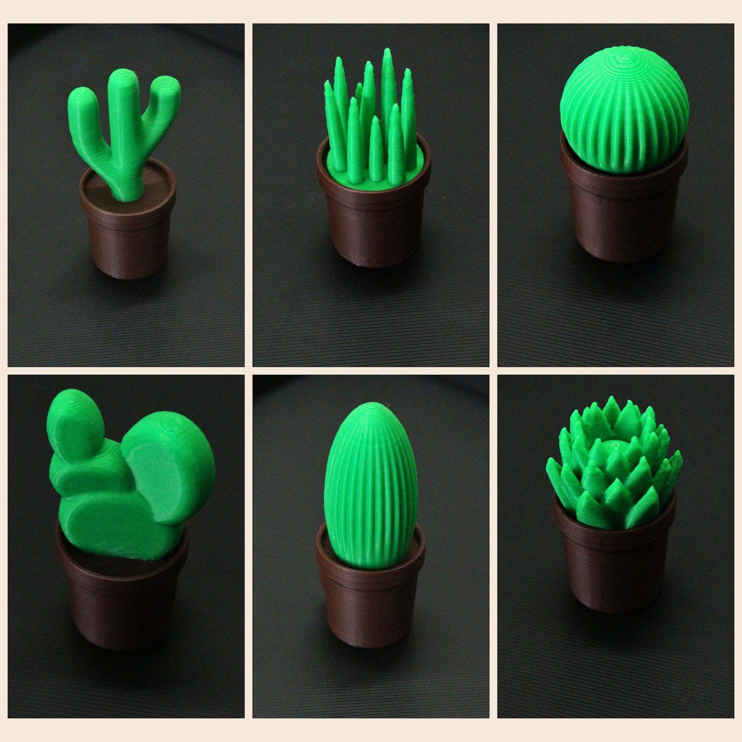 THORNLETS – Cactus Fridge Magnets (Set of 6)