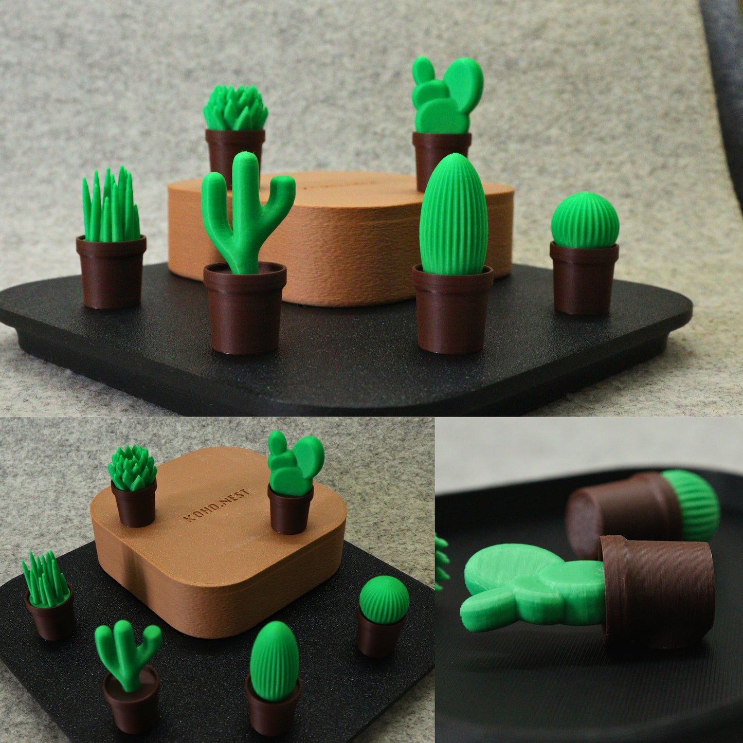 THORNLETS – Cactus Fridge Magnets (Set of 6)